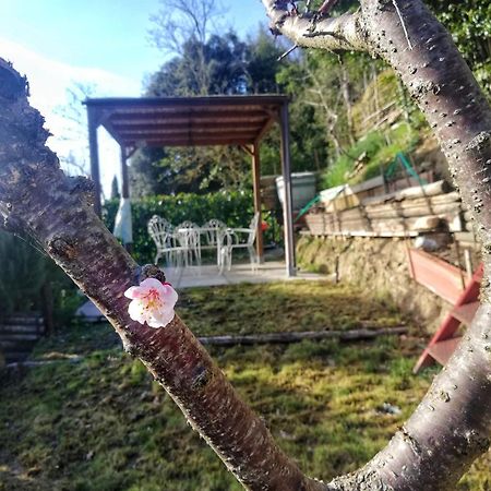 شقة Casa Laura سان جيمينيانو المظهر الخارجي الصورة