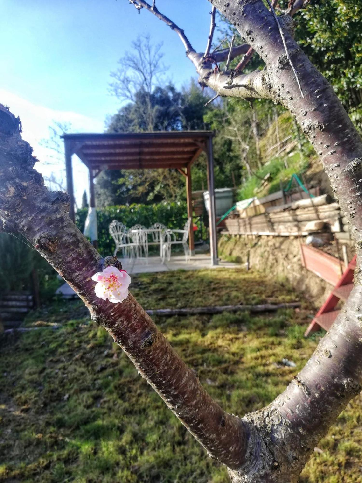 شقة Casa Laura سان جيمينيانو المظهر الخارجي الصورة